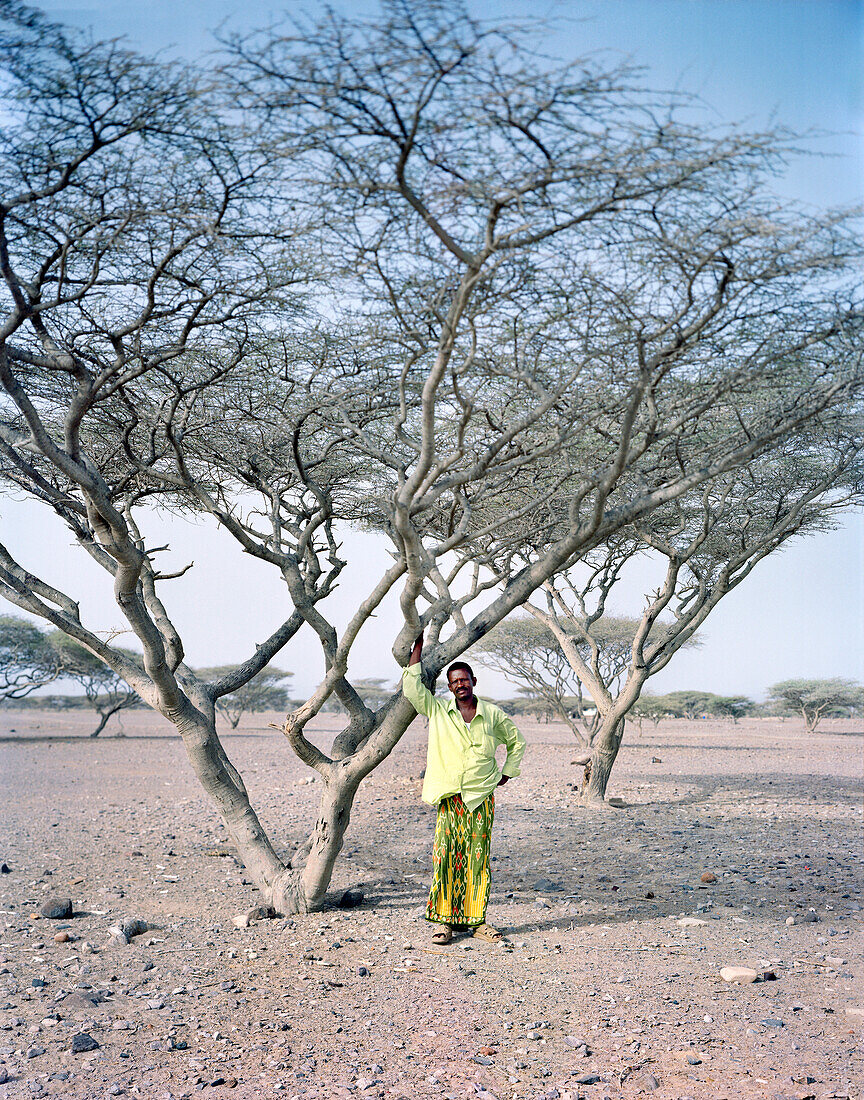 ERITREA, Gelallo, Abdu Bedri standing under an Acacia tree in his village