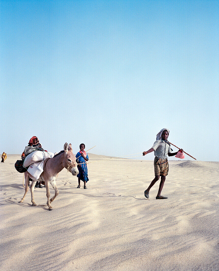 ERITREA, Tio, a Bedouin family walks through the desert on their way to Tio