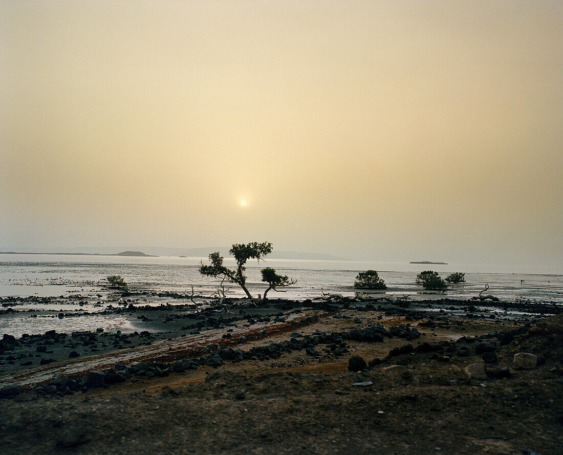 ERITREA, Akello, landscape near the small town of Akello at sunrise, the edge of the Red Sea
