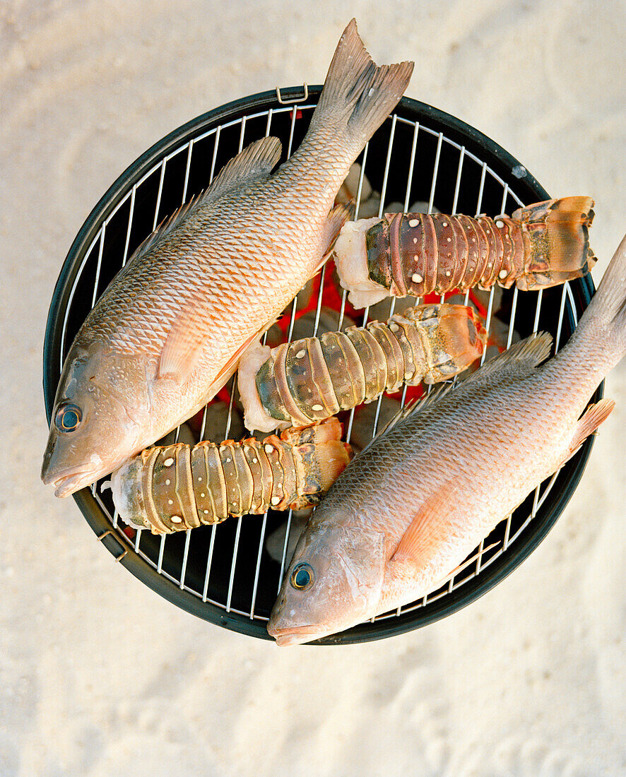 USA, Florida, fish and lobster tails on grill, close-up, Islamorada