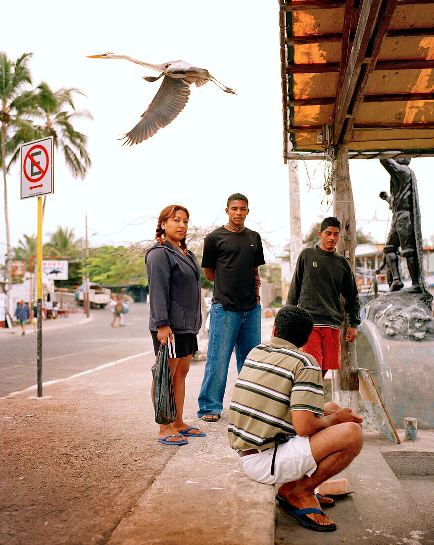 ECUADOR, Galapagos Islands, people and flying bird at a local fish market, Santa Cruz Island