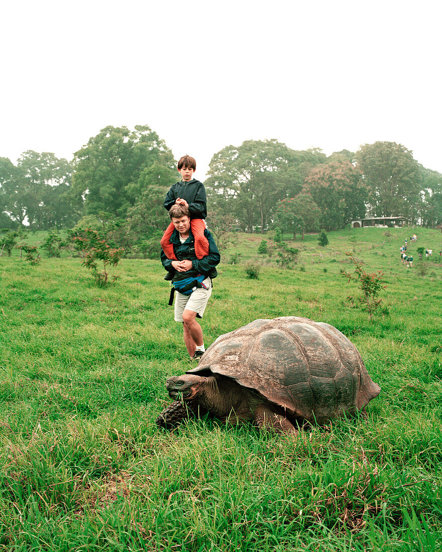 ECUADOR, Galapagos, Santa Cruz Island, father and son observing a giant tortoise in the highlands