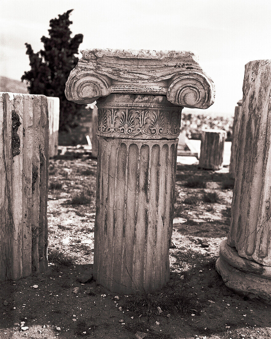 GREECE, Athens, detail of a column at the Acropolis (B&W)