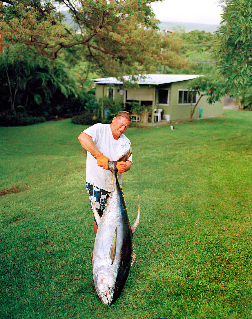 USA, Hawaii, The Big Island, lifting a Yellowfin Tuna, Kealakekua Bay