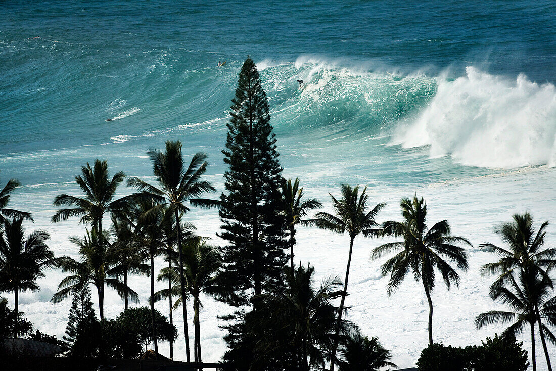 USA, Hawaii, Oahu, surfers riding a wave at Waimea Bay with palm trees in foreground, North Shore