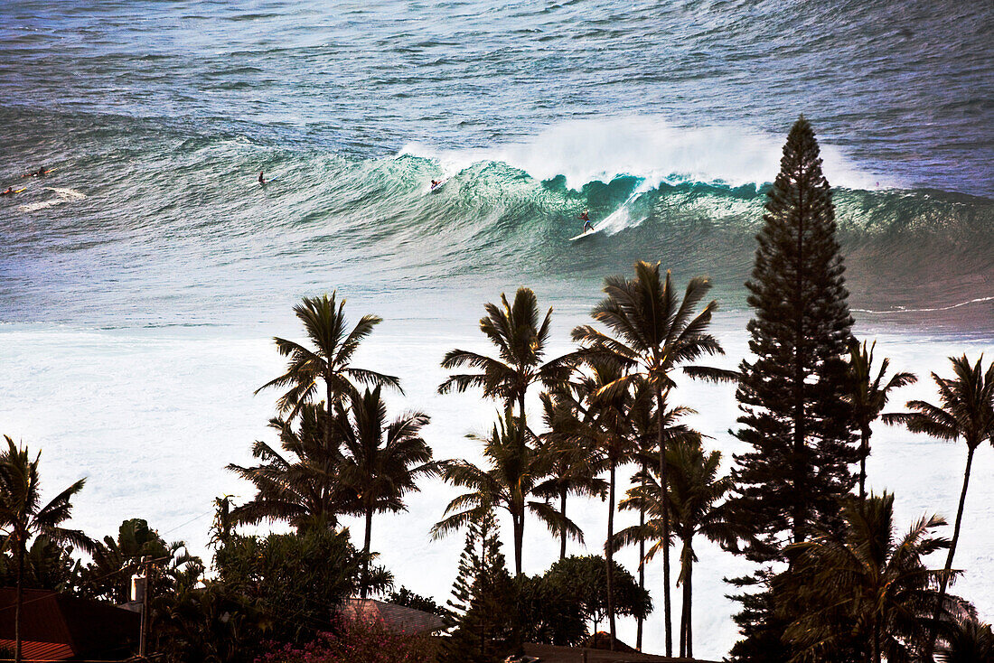 USA, Hawaii, Oahu, surfers riding a wave at Waimea Bay with palm trees in foreground, North Shore