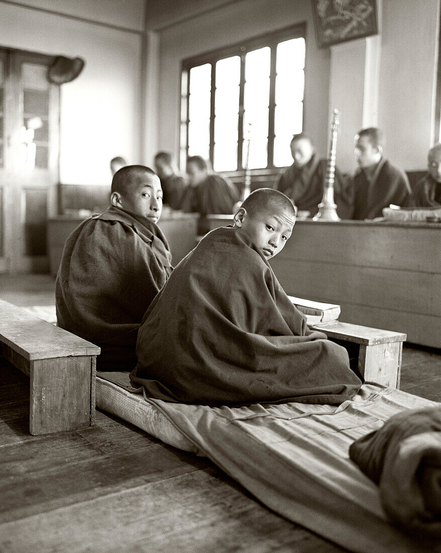 INDIA, West Bengal, monks and students at monastery, Samten Choling Monastery, Ghoom (B&W)