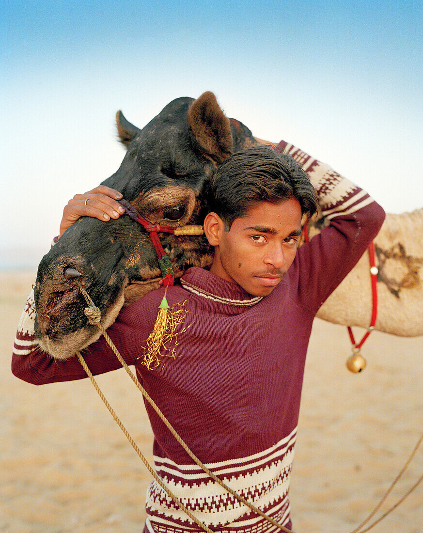 INDIA, Rajasthan, camel cart driver with his camel, Pushkar Camel Fair