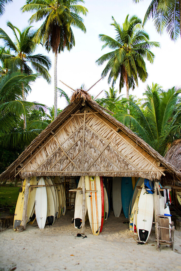 INDONESIA, Mentawai Islands, Kandui Surf Resort, surfboards stored under a thatched roof hut