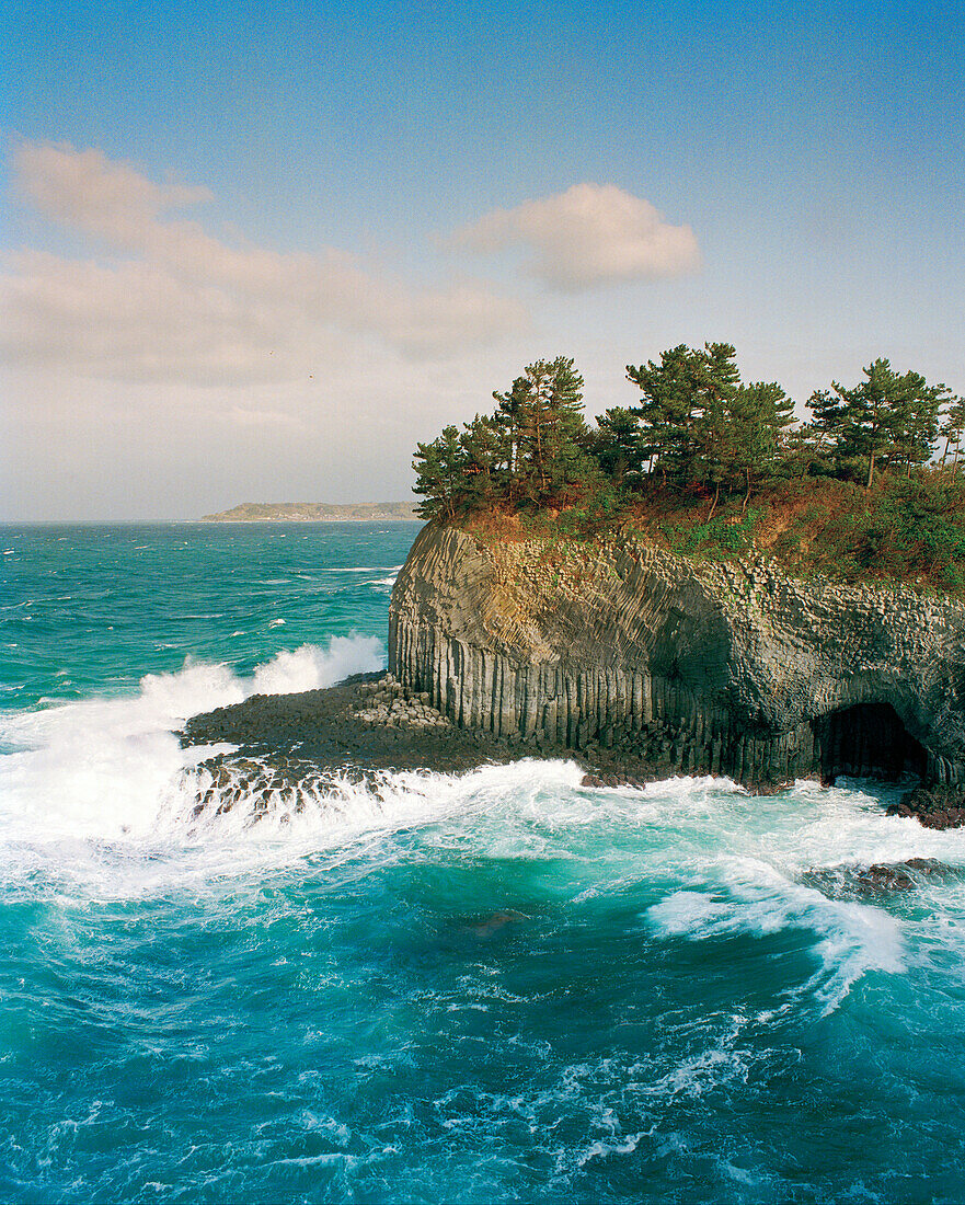 JAPAN, Kyushu, cliffs and trees nest to the Sea of Japan