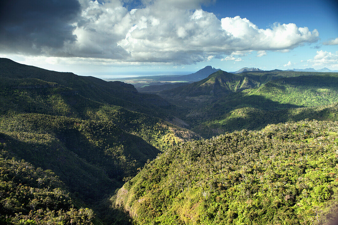 MAURITIUS, a view from the top of Black River Gorges National Park, the home of 1,000 year old trees