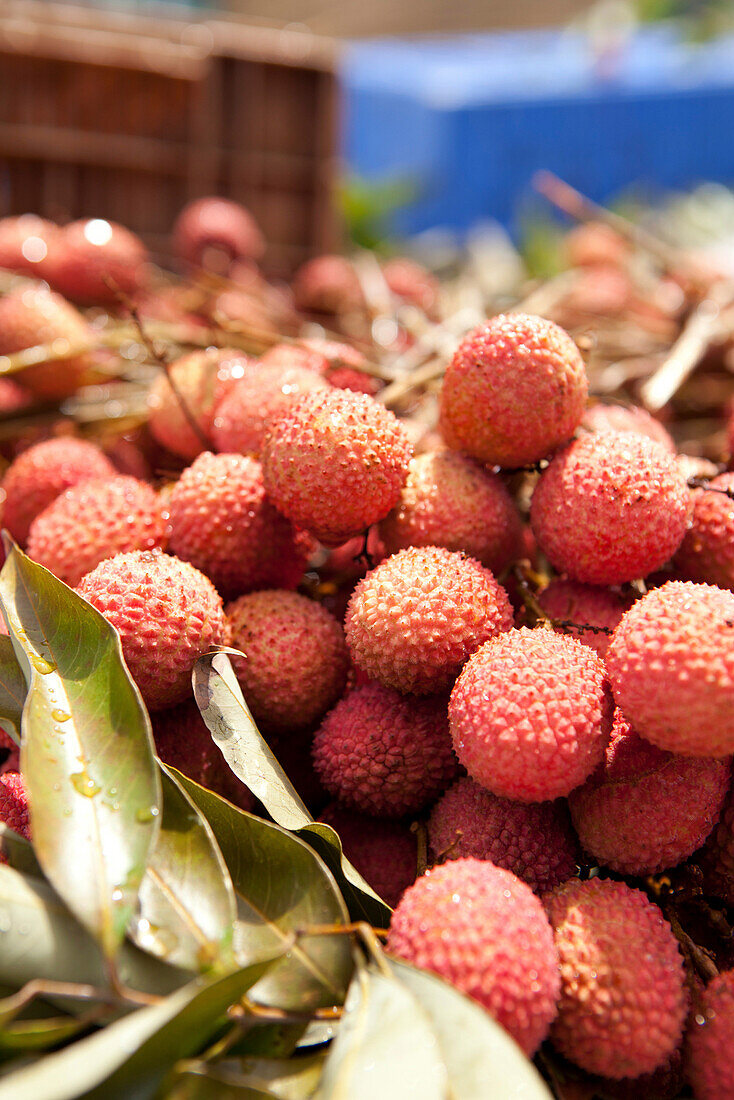 MAURITIUS, Flacq, the largest open air market in Mauritius, Flacq Market, Lychee fruit for sale