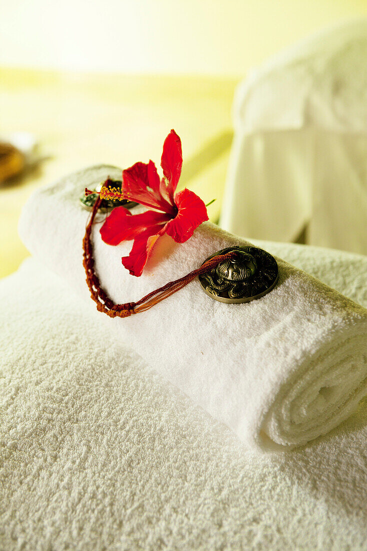 MAURITIUS, Chemin Grenier, South Coast, detail of the spa at Hotel Shanti Maurice, Hibiscus flower