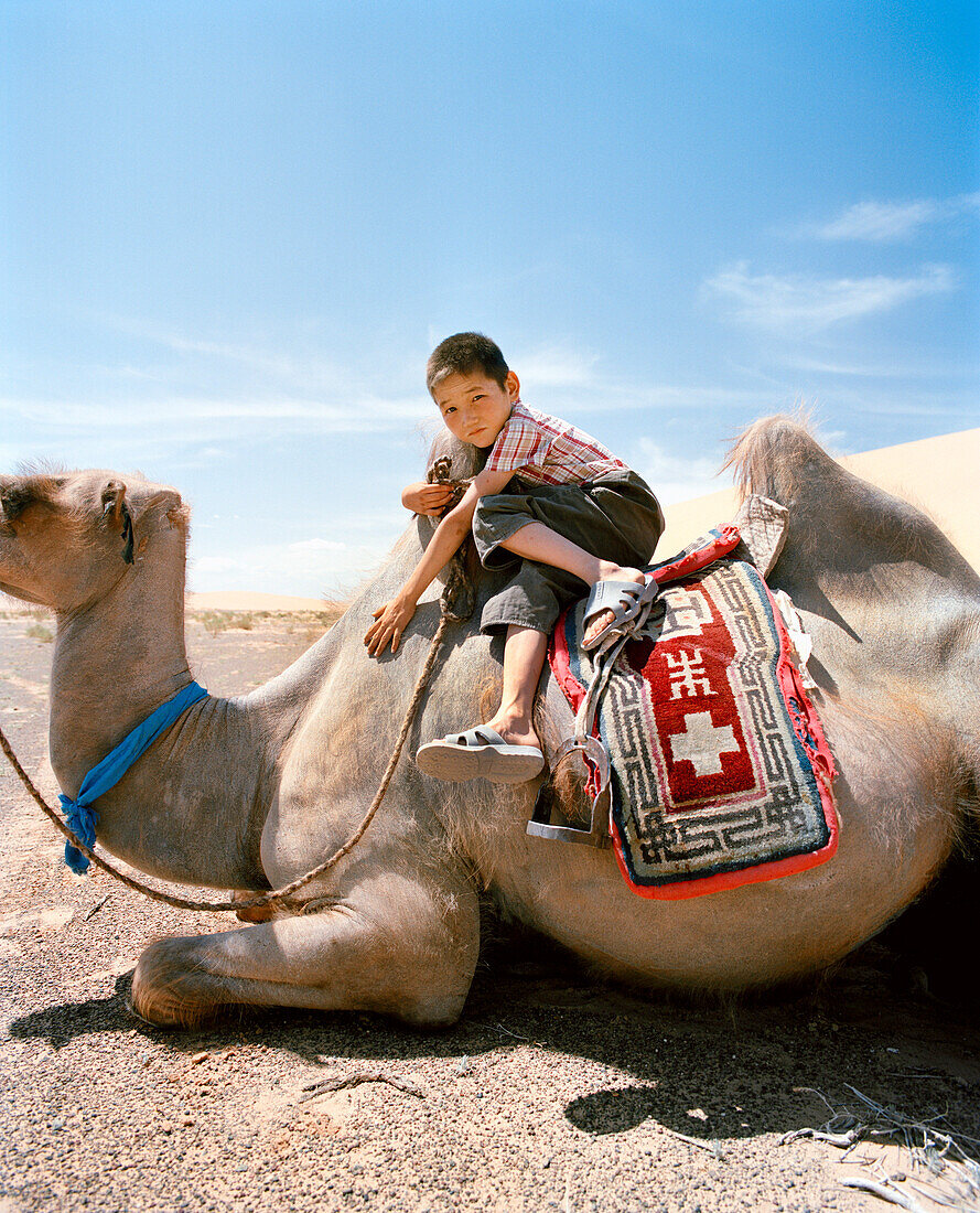 MONGOLIA, Nemegt Basin, a boy and his camel take a rest, the Gobi desert