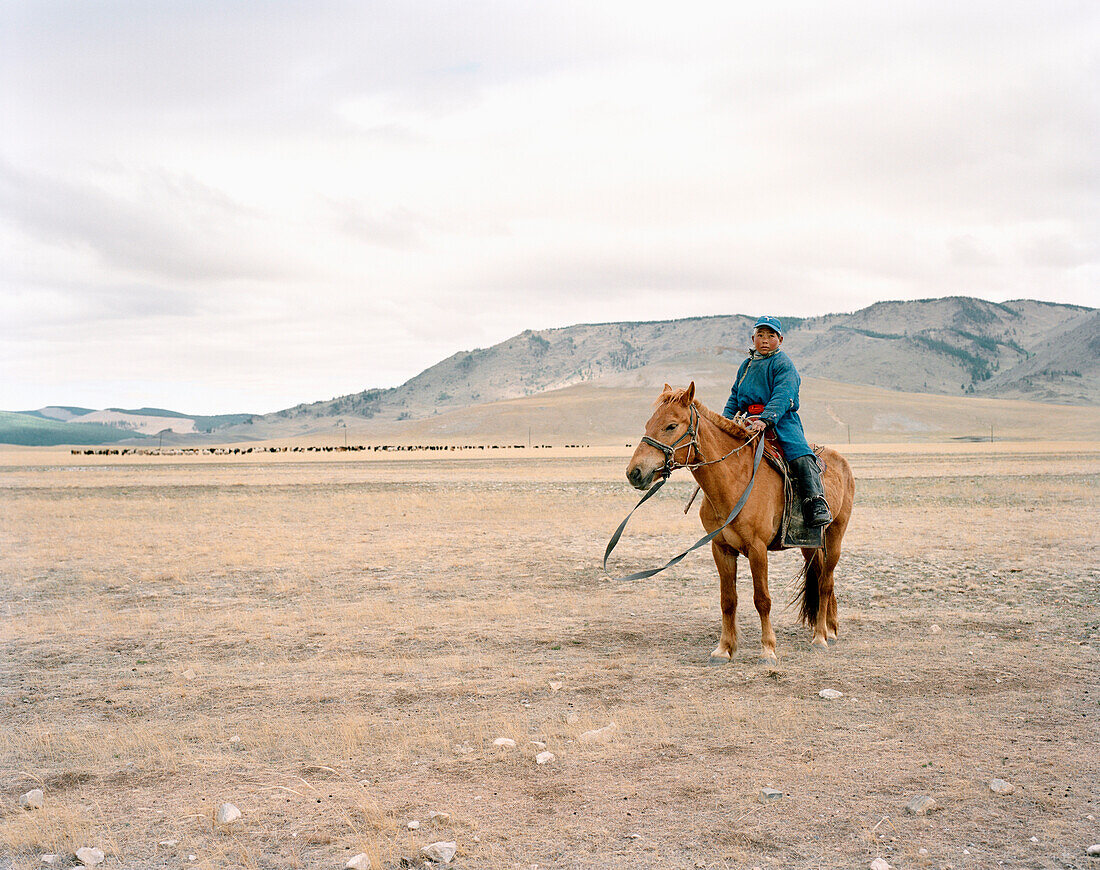 MONGOLIA, Khuvsgul National Park, a young boy shepherd tends to his livestock