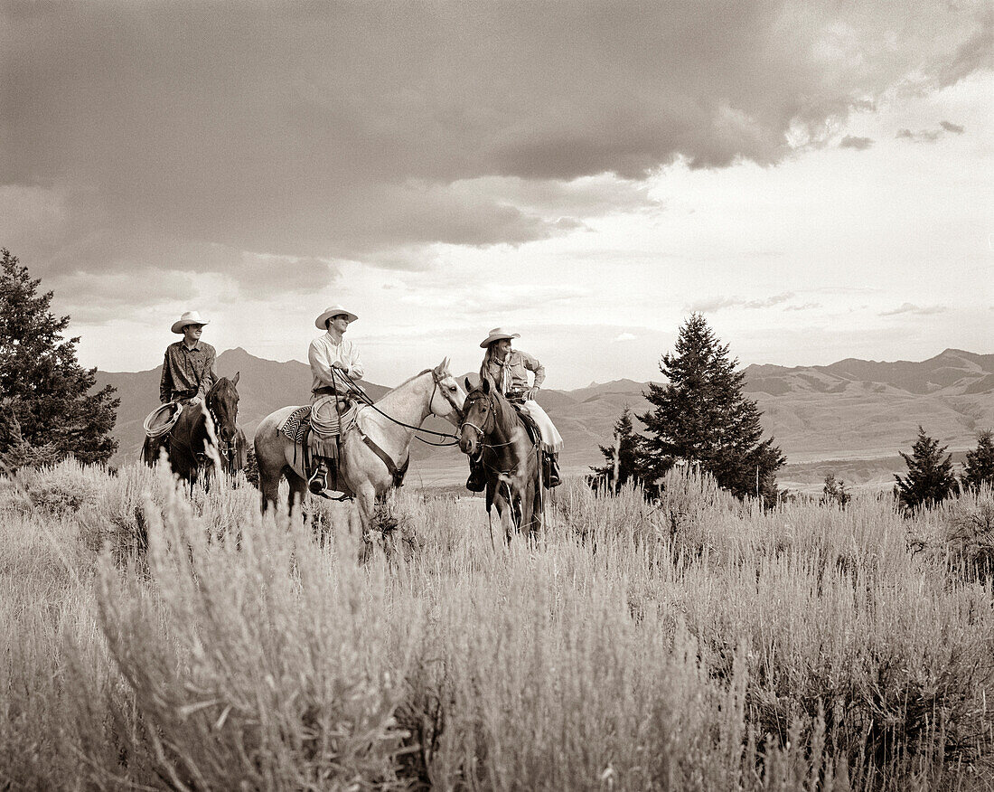 USA, Montana, cowboys and cowgirl sitting on horses, Gallatin National Forest, Emigrant (B&W)