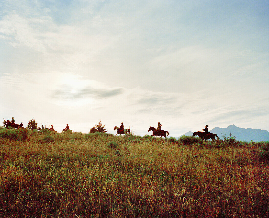 USA, Montana, cowboys and cowgirls riding horses at dawn, Gallatin National Forest, Emigrant