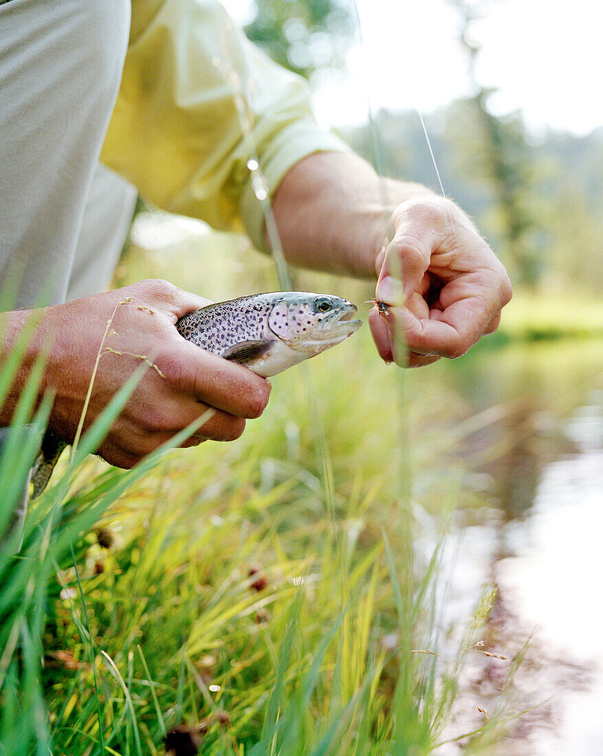 USA, Montana, man holding a Rainbow Trout he caught, Mountain Sky Guest Ranch