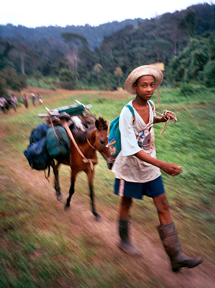 PANAMA, Cana, Antonio and his donkey complete the 10 hour journey from Boca de Cupe to the Cana Field Station, Central America