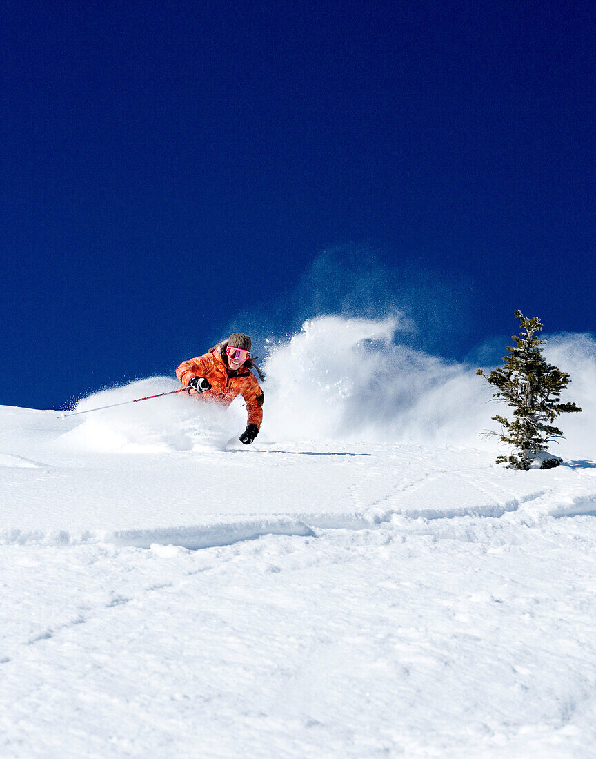 USA, Utah, young woman skiing Lee's Tree in the deep snow, Alta Ski Resort