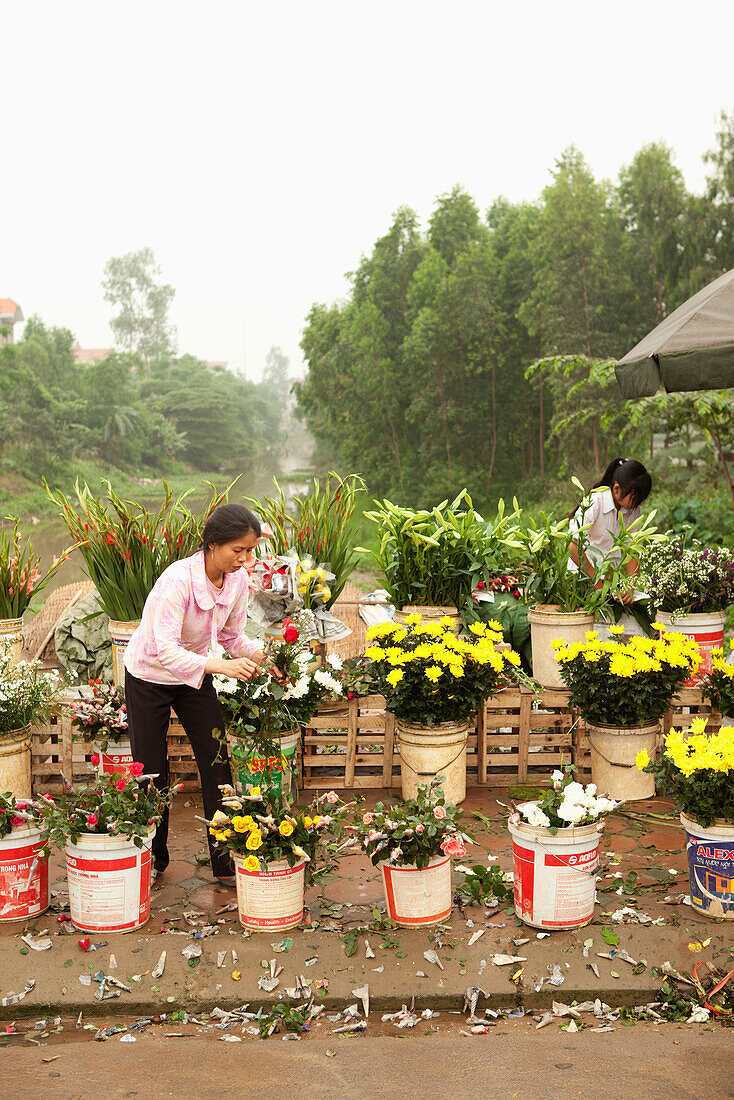 VIETNAM, Hanoi, Countryside, women sell flowers at a road side market in Thanh Bac Ninh