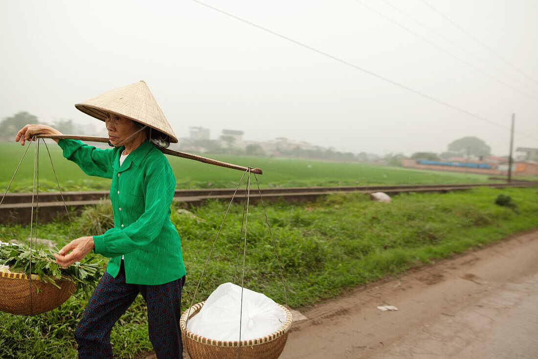 VIETNAM, Hanoi, a farmer transports produce along a countryside road in rural Hanoi