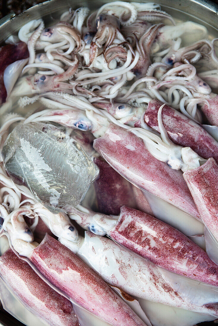 VIETNAM, Saigon, Ben Thanh Market, squid for sale in the fish section of the market, Ho Chi Minh City