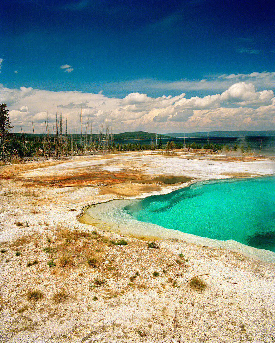 USA, Wyoming, scenic view of West Thumb Geyser Basin, Yellowstone National Park