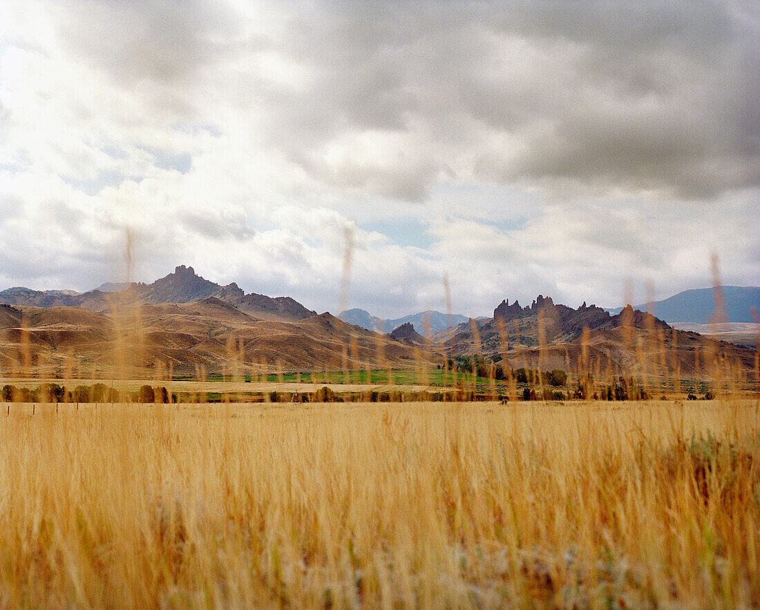 USA, Wyoming, field with mountain in the background, Chief Joseph National Hwy