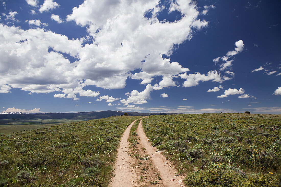 USA, Wyoming, Encampment, a dirt road winds through a vast Wyoming landscape