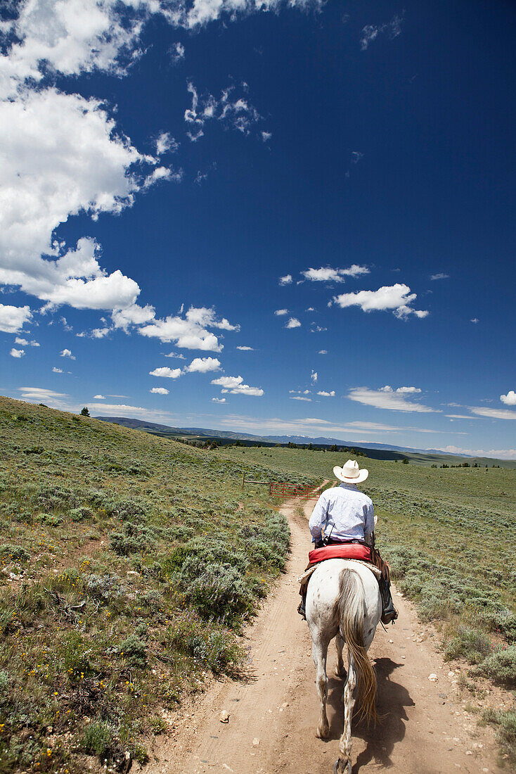 USA, Wyoming, Encampment, a cowboy rides his horse down a long dirt road, Abara Ranch