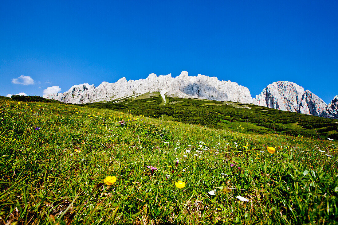 Fölzalm, Hochschwabgebiet, Steiermark, Österreich