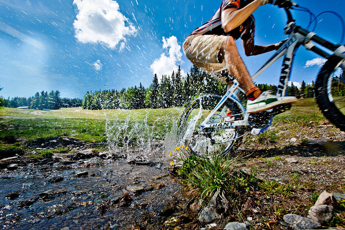 Downhill mountain biker off-roading, Frauenalpe, Murau, Styria, Austria