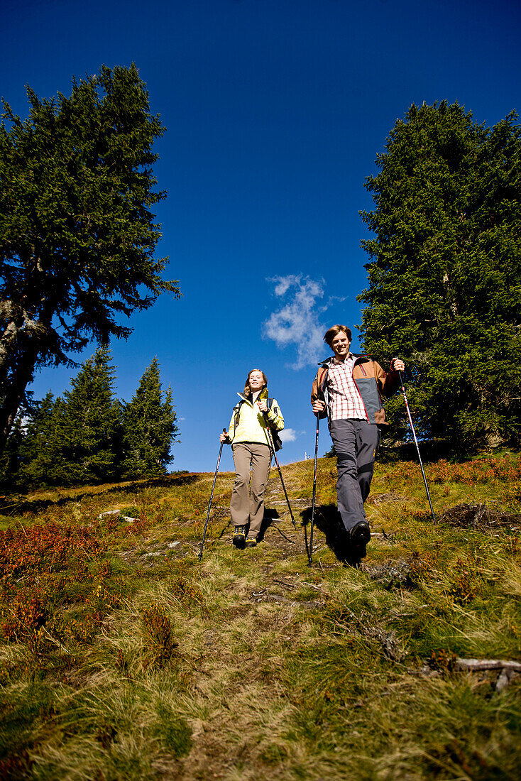 Hikers in autumn, Planai, Schladming, Styria, Austria