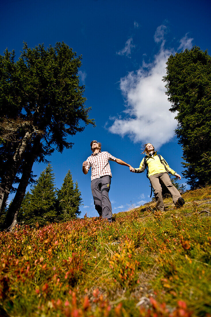 Hikers in autumn, Planai, Schladming, Styria, Austria