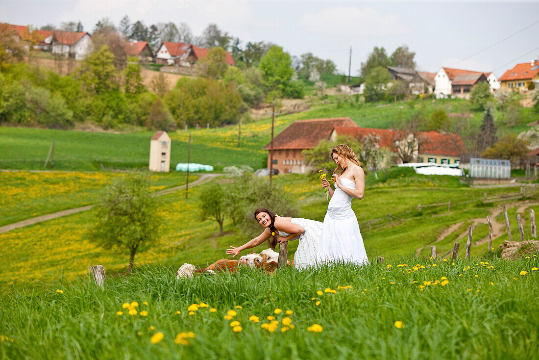 Two young women on a pasture with cattle, Styria, Austria