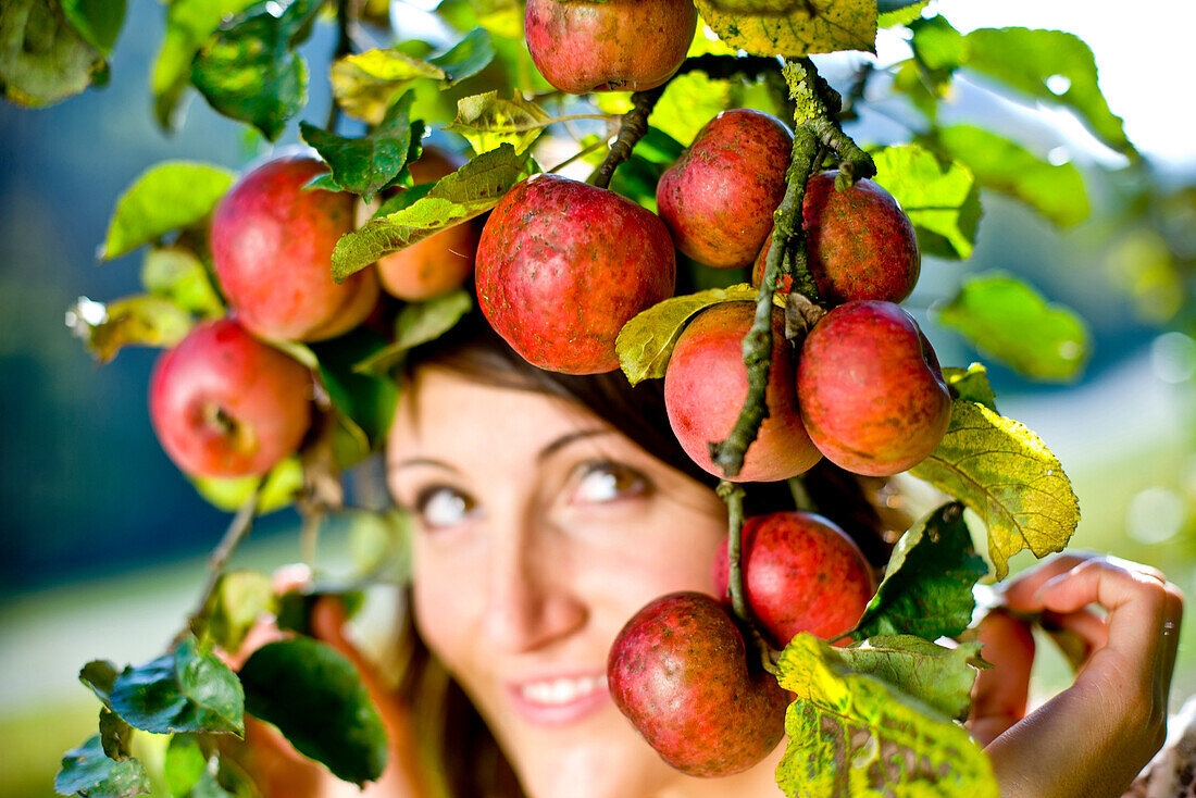 Junge Frau in einem Apfelbaum, Steiermark, Österreich