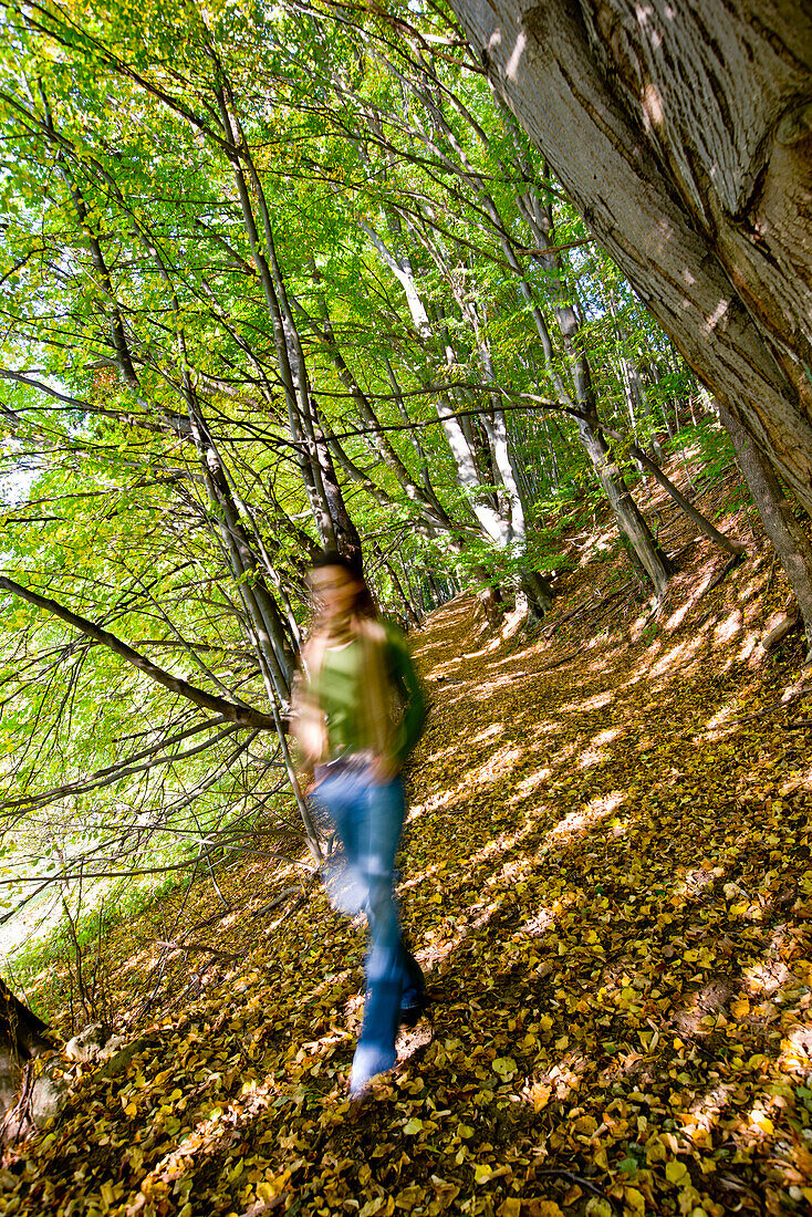 Junge Frau läuft durch einen Herbstwald, Steiermark, Österreich