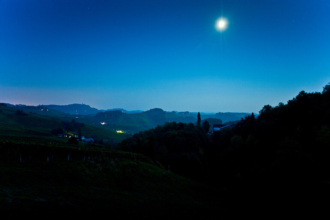 Weinberg im Mondschein, Steiermark, Österreich