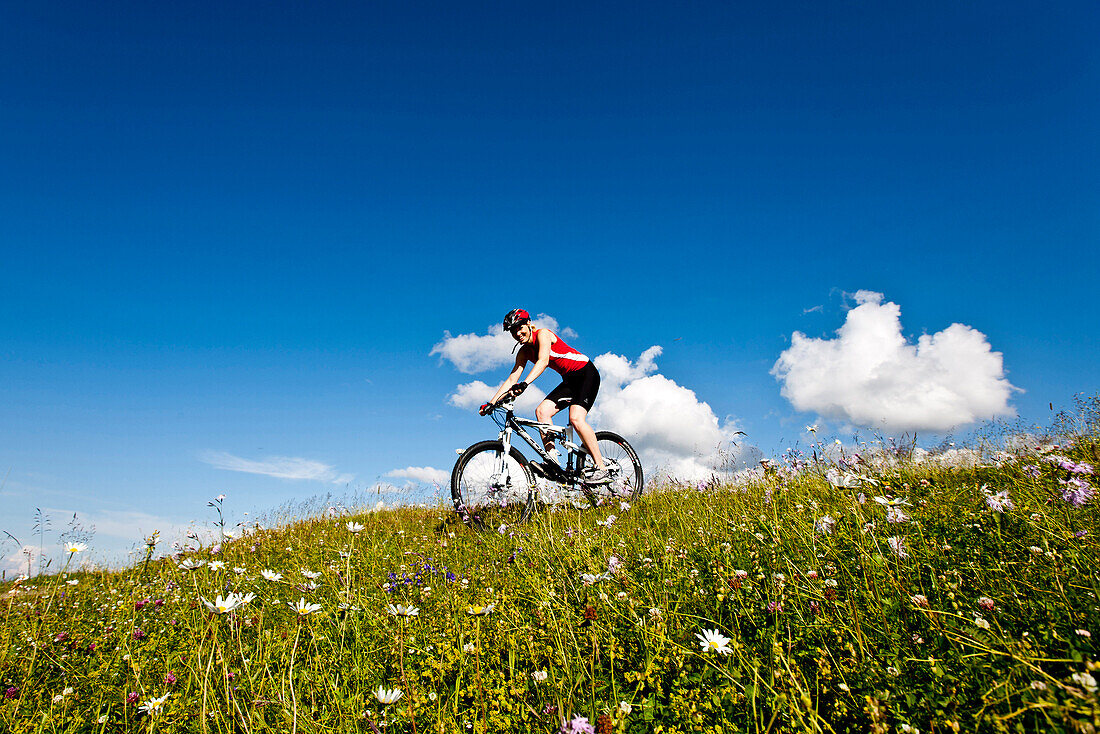 Female mountain biker passing an alpine meadow, Duisitzkar, Planai, Styria, Austria