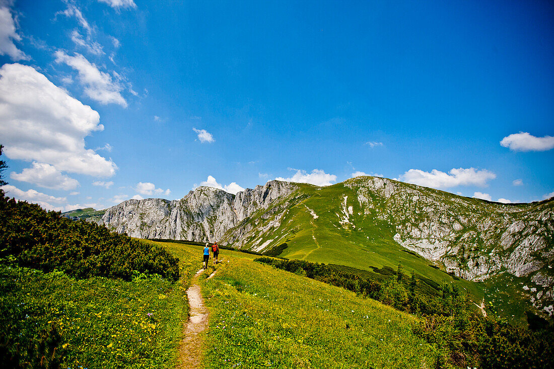 Hikers on a trail, Hochschwab mountain area, Styria, Austria
