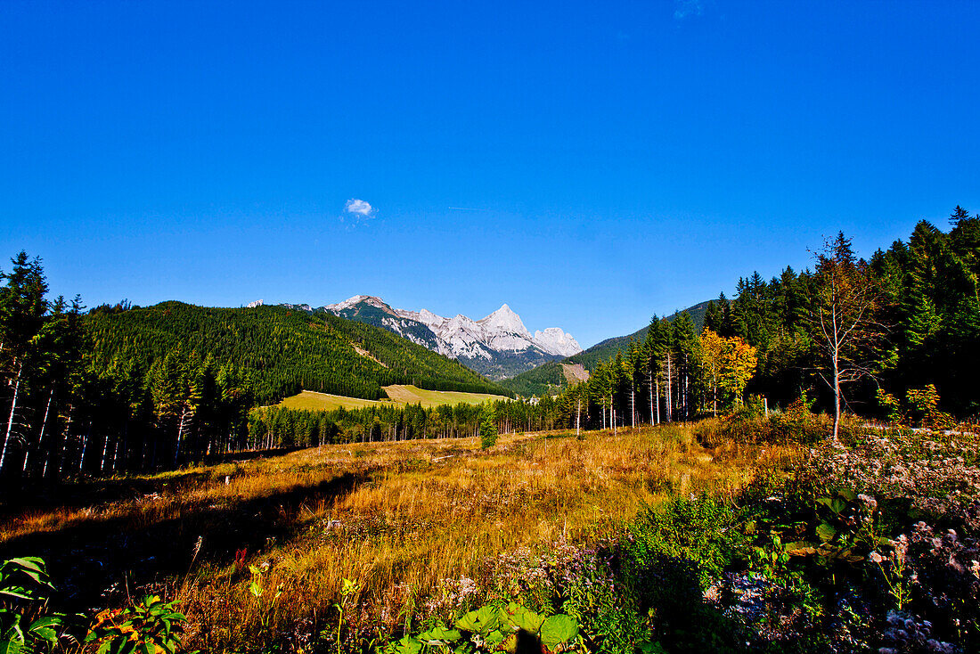 Herbstlandschaft mit Admonter Kalbling im Hintergrund, Kaiserau, Steiermark, Österreich