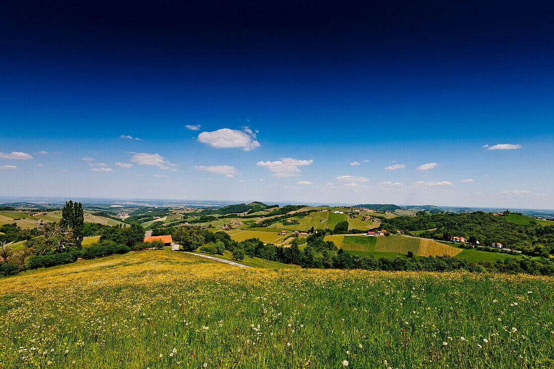 Winegrowing at Silberberg, Styria, Austria