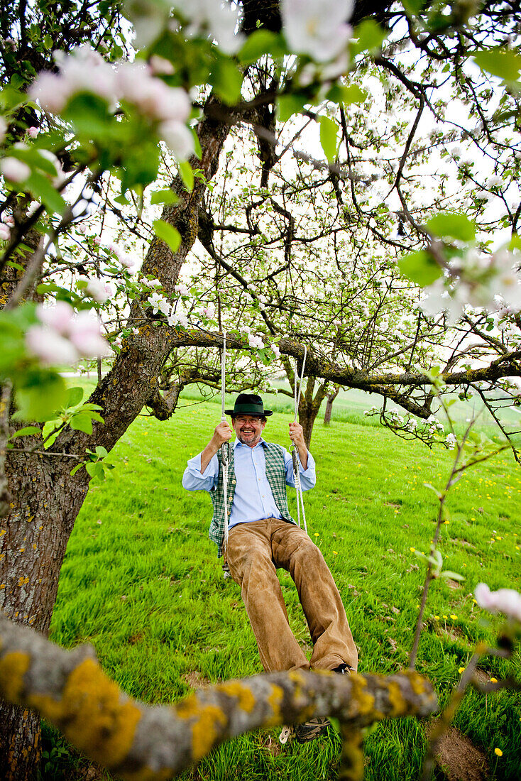 Mann schaukelt in einem blühenden Apfelbaum, Stubenberg, Steierermark, Österreich