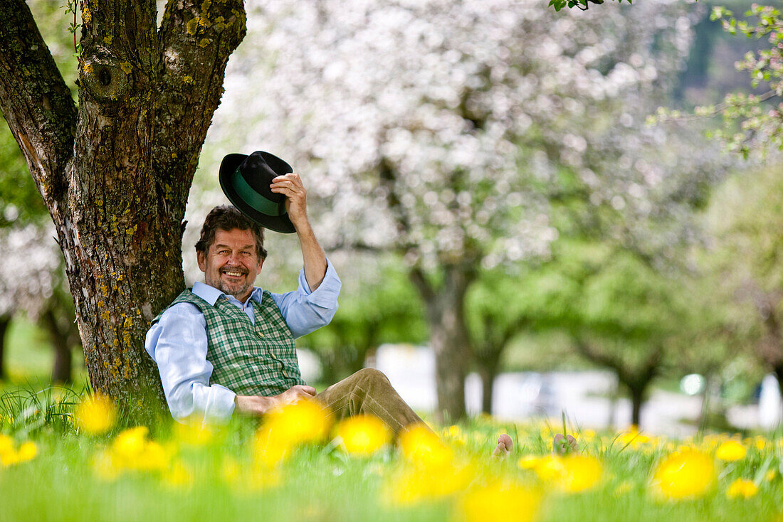 Mann sitzt in einem blühenden Obstgarten, Stubenberg, Steierermark, Österreich