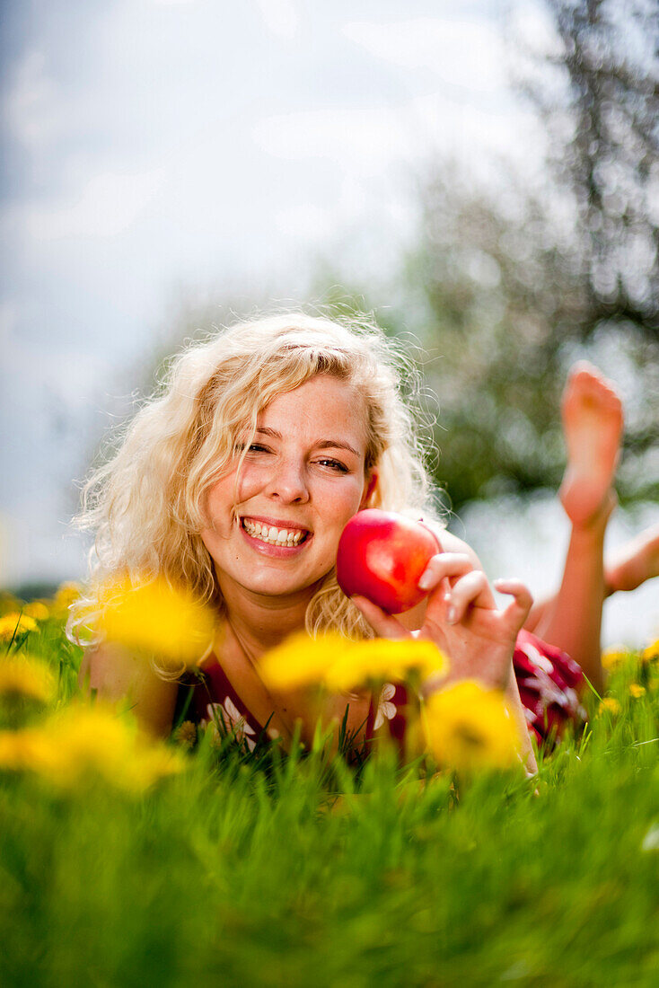 Young woman lying at a dandelion meadow, Stubenberg, Styria, Austria