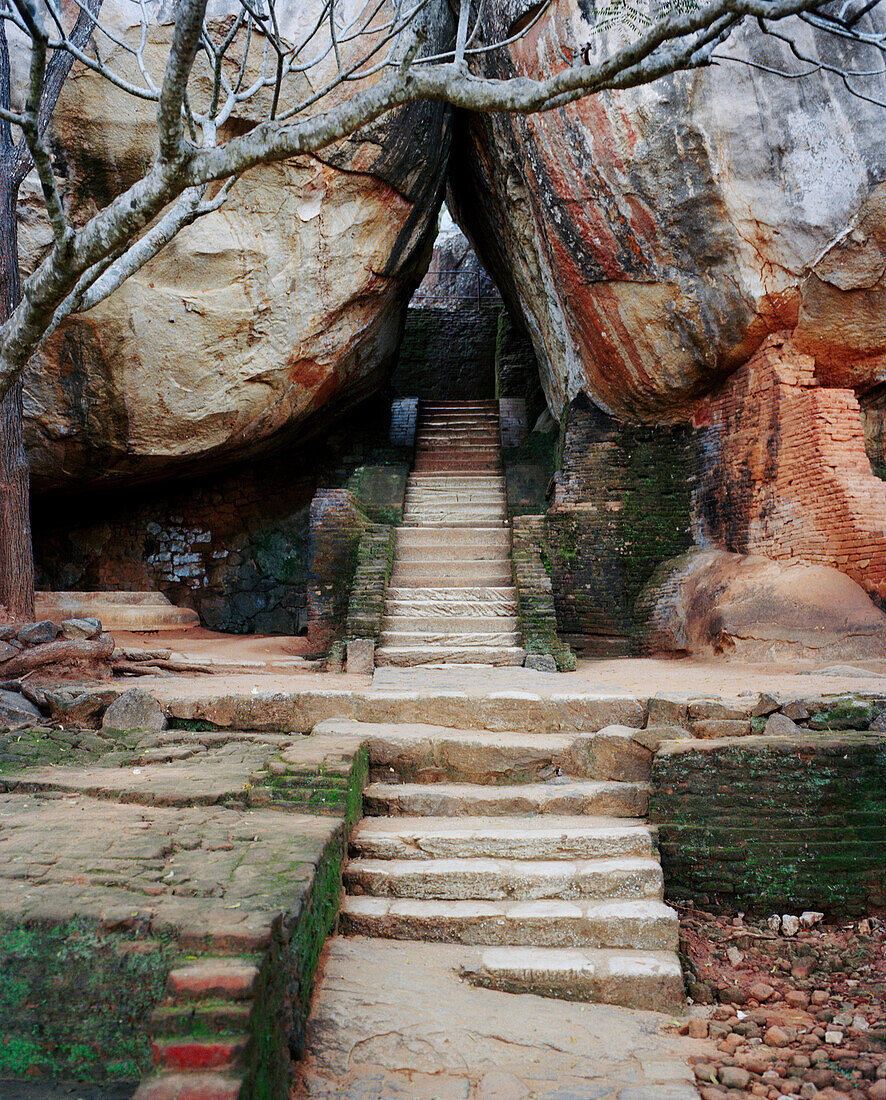 SRI LANKA, Asia, entrance of Sigiriya Fortress