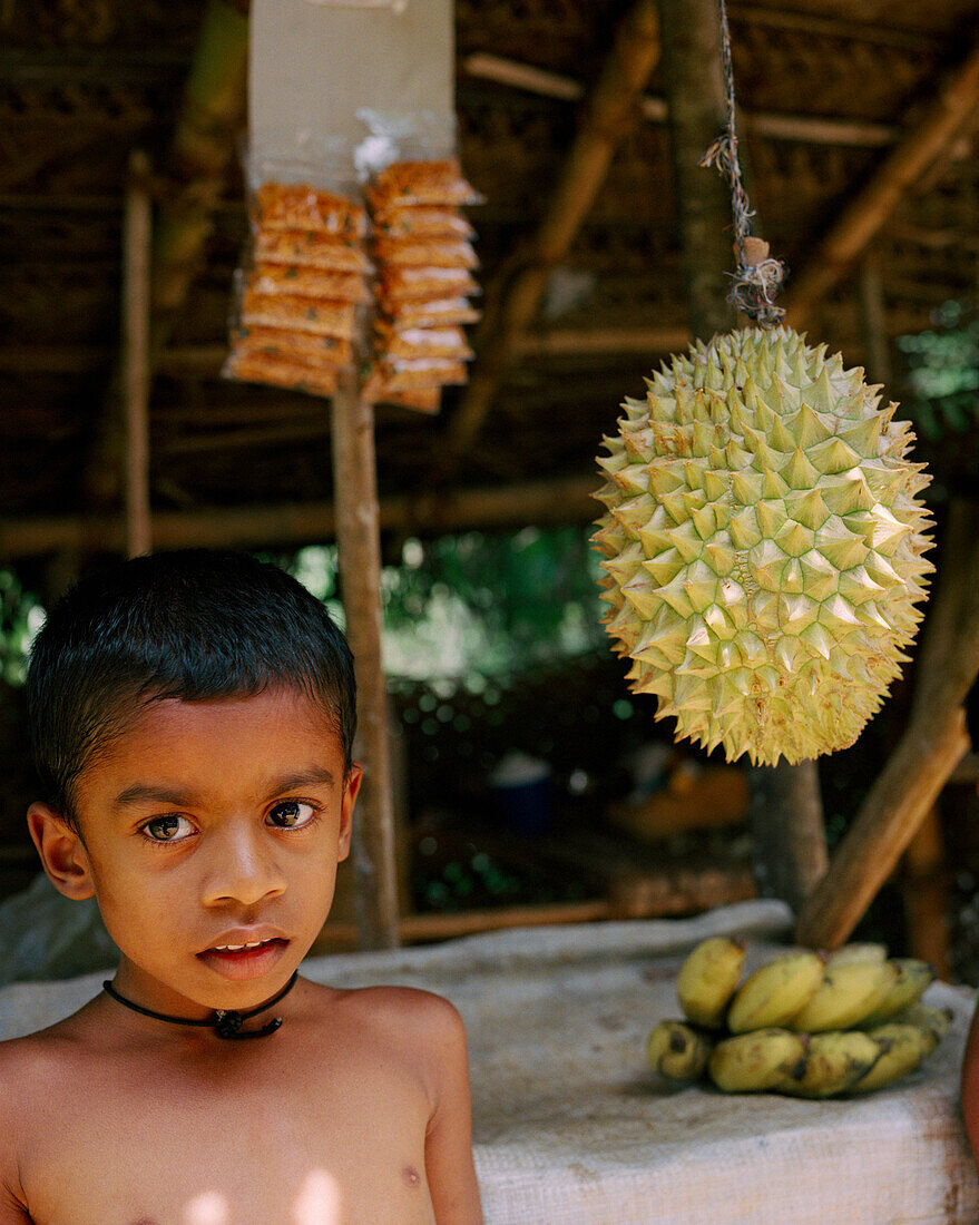 SRI LANKA, Asia, portrait of a boy standing near Durian fruits