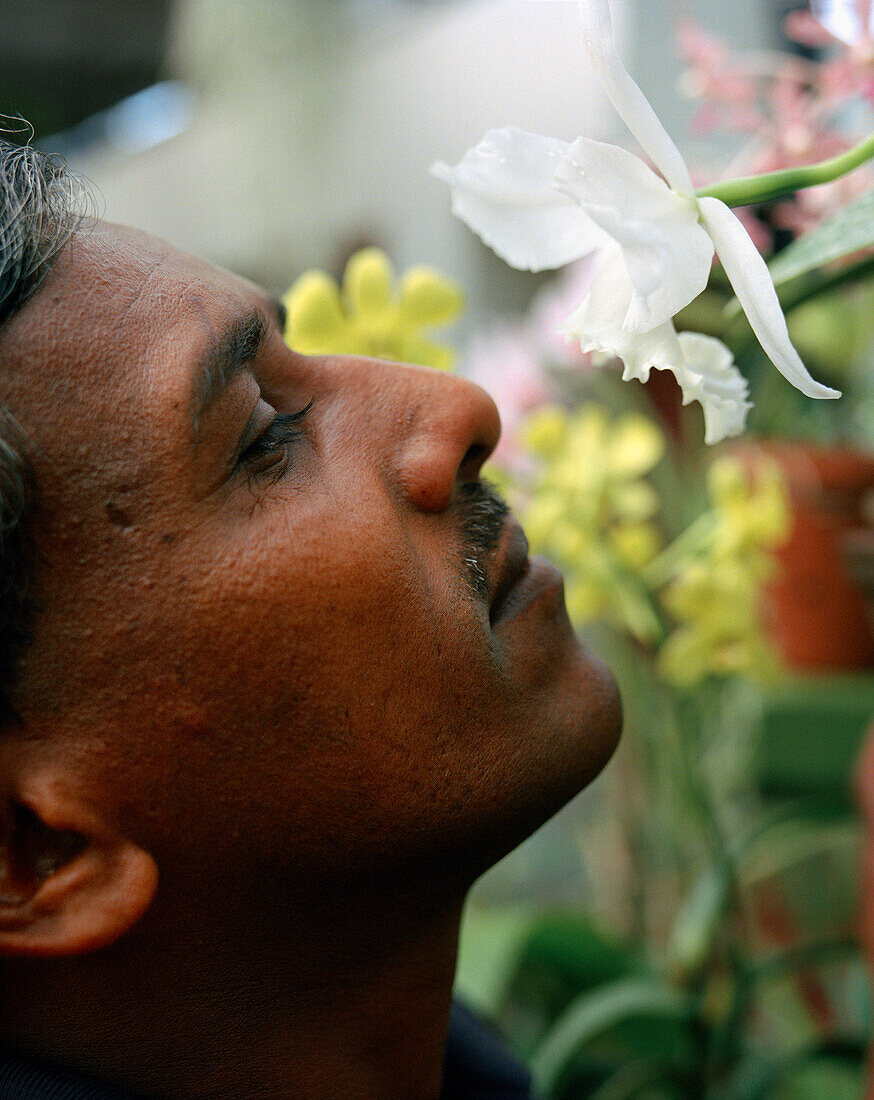 SRI LANKA, Asia, close-up of a man enjoying the fragrance of a Orchid flower at Botanical garden
