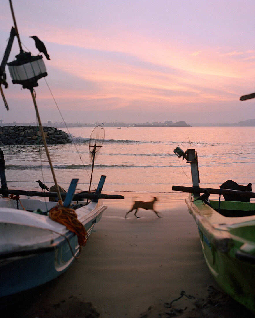 SRI LANKA, Asia, Galle, sunrise at Galle with fishing boats